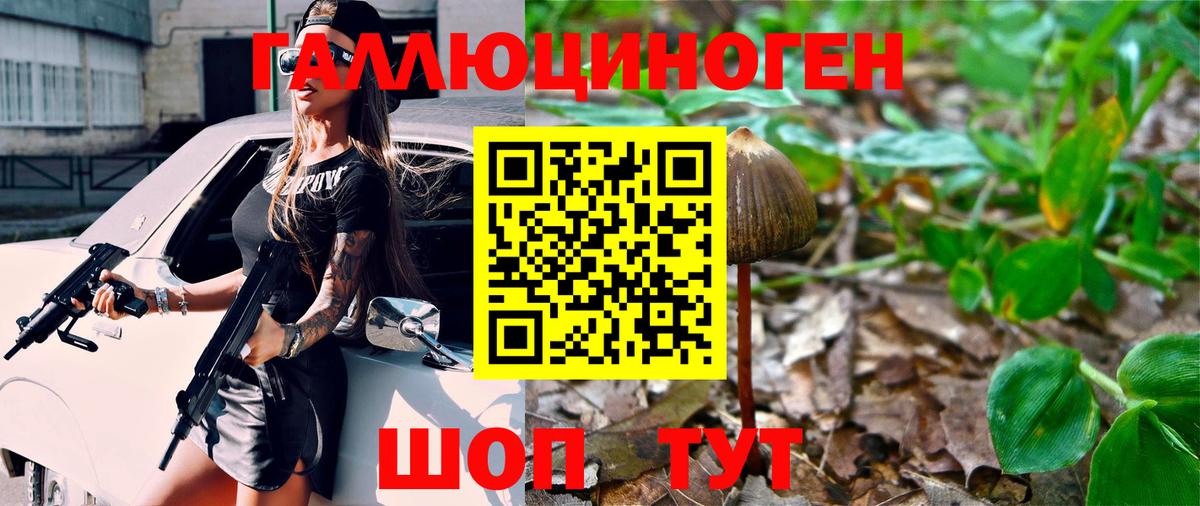 Псилоцибиновые грибы Psilocybine cubensis Аргун