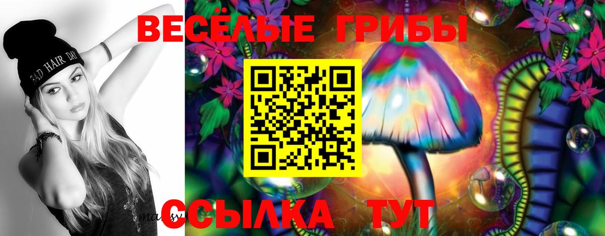 Псилоцибиновые грибы мухоморы  Вход с VPN  Аргун  Псилоцибиновые грибы мухоморы 