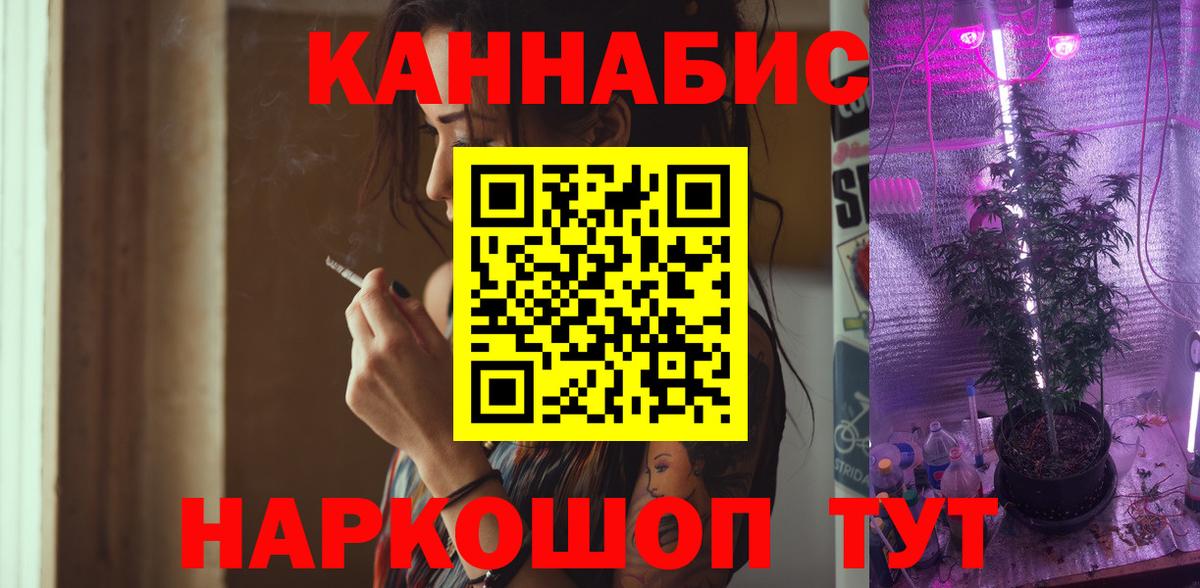 Марихуана план Аргун